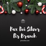 Pax Dei Silver Fir Branch